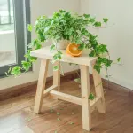 Ghế đôn vuông thấp cao 45cm - Ảnh 5