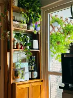 Tủ kệ kết hợp gỗ tự nhiên FEGO - Ảnh 9